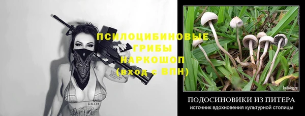 молекула духа Пересвет