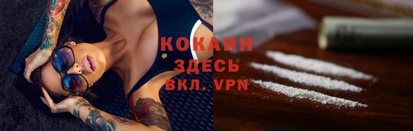 ПСИЛОЦИБИНОВЫЕ ГРИБЫ Кулебаки