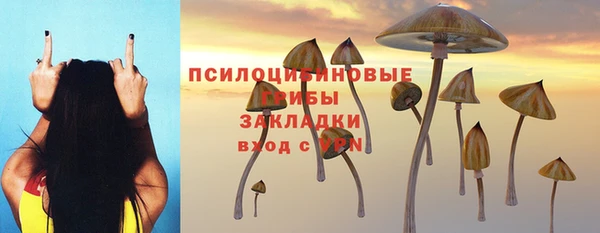 ПСИЛОЦИБИНОВЫЕ ГРИБЫ Кулебаки