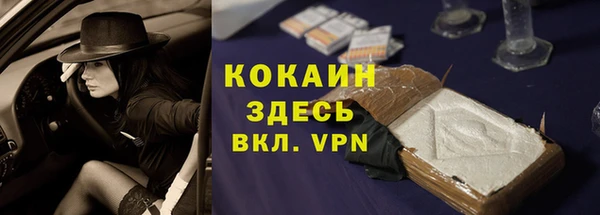 ПСИЛОЦИБИНОВЫЕ ГРИБЫ Кулебаки