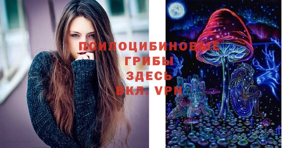 наркотики Белокуриха
