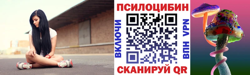 где можно купить   Лермонтов  Псилоцибиновые грибы MAGIC MUSHROOMS 