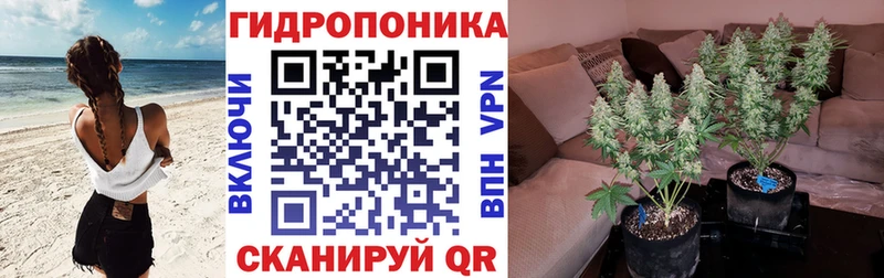 цена наркотик  Лермонтов  Канабис сатива 